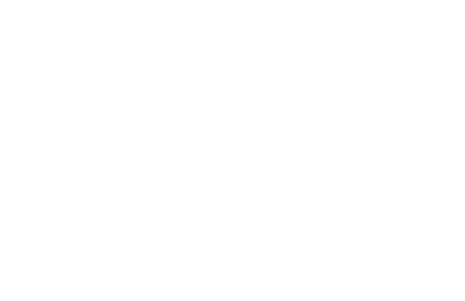 finance boston text logo white logo